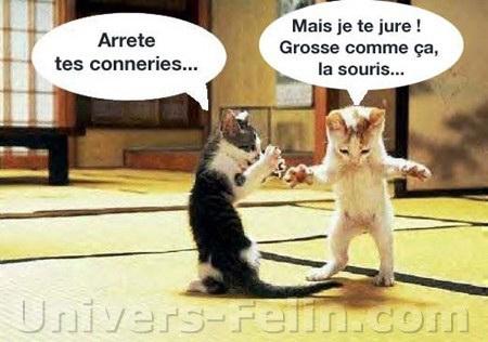 hahaha
